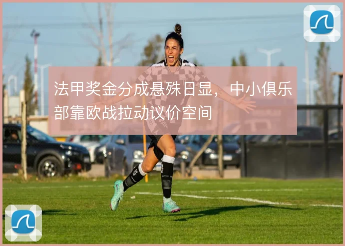 法甲奖金分成悬殊日显,中小俱乐部靠欧战拉动议价空间